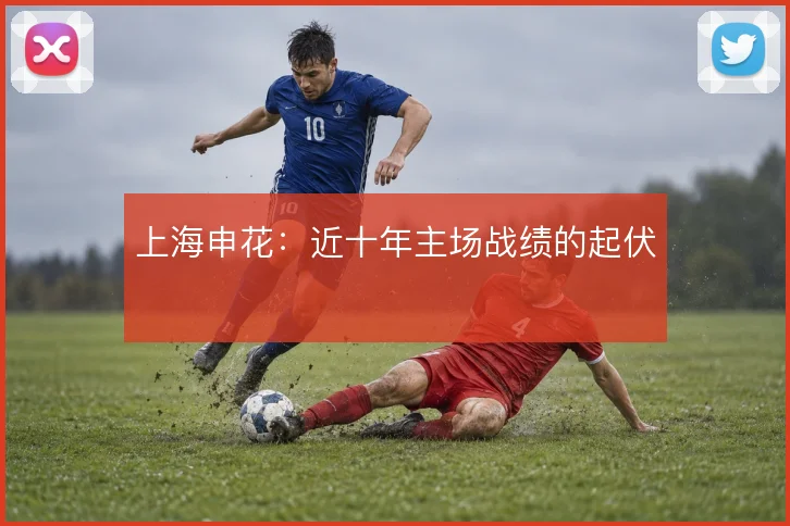 上海申花:近十年主场战绩的起伏