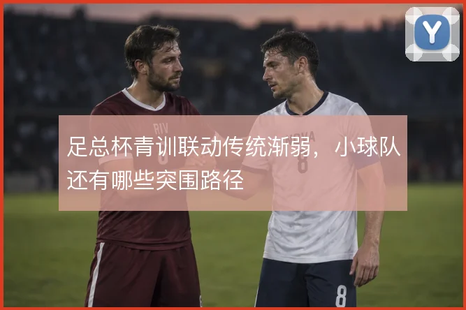 足总杯青训联动传统渐弱，小球队还有哪些突围路径